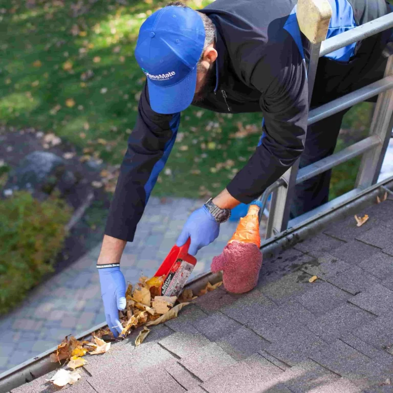 Maple Ridge Gutter Cleaning
