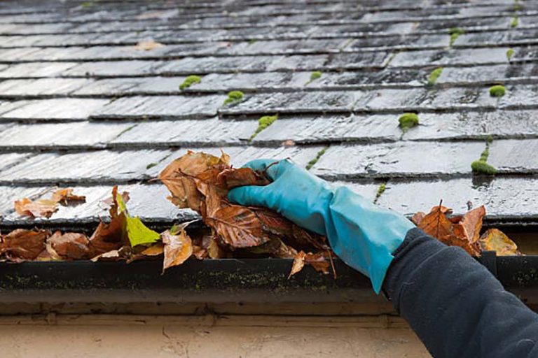gutter cleaning Coquitlam