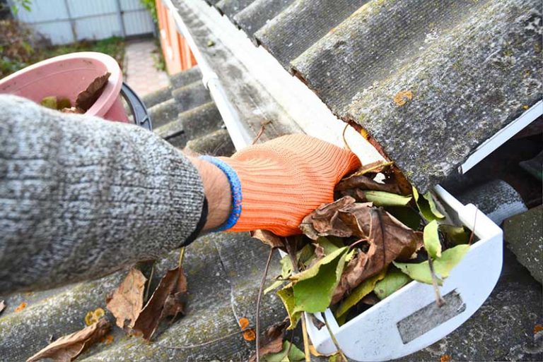 gutter cleaning Langley
