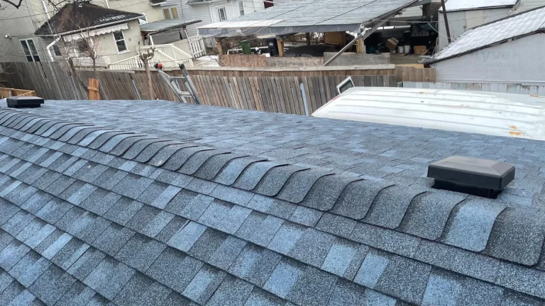 roof cleaning Maple Ridge