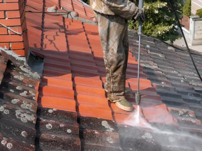 roof cleaning